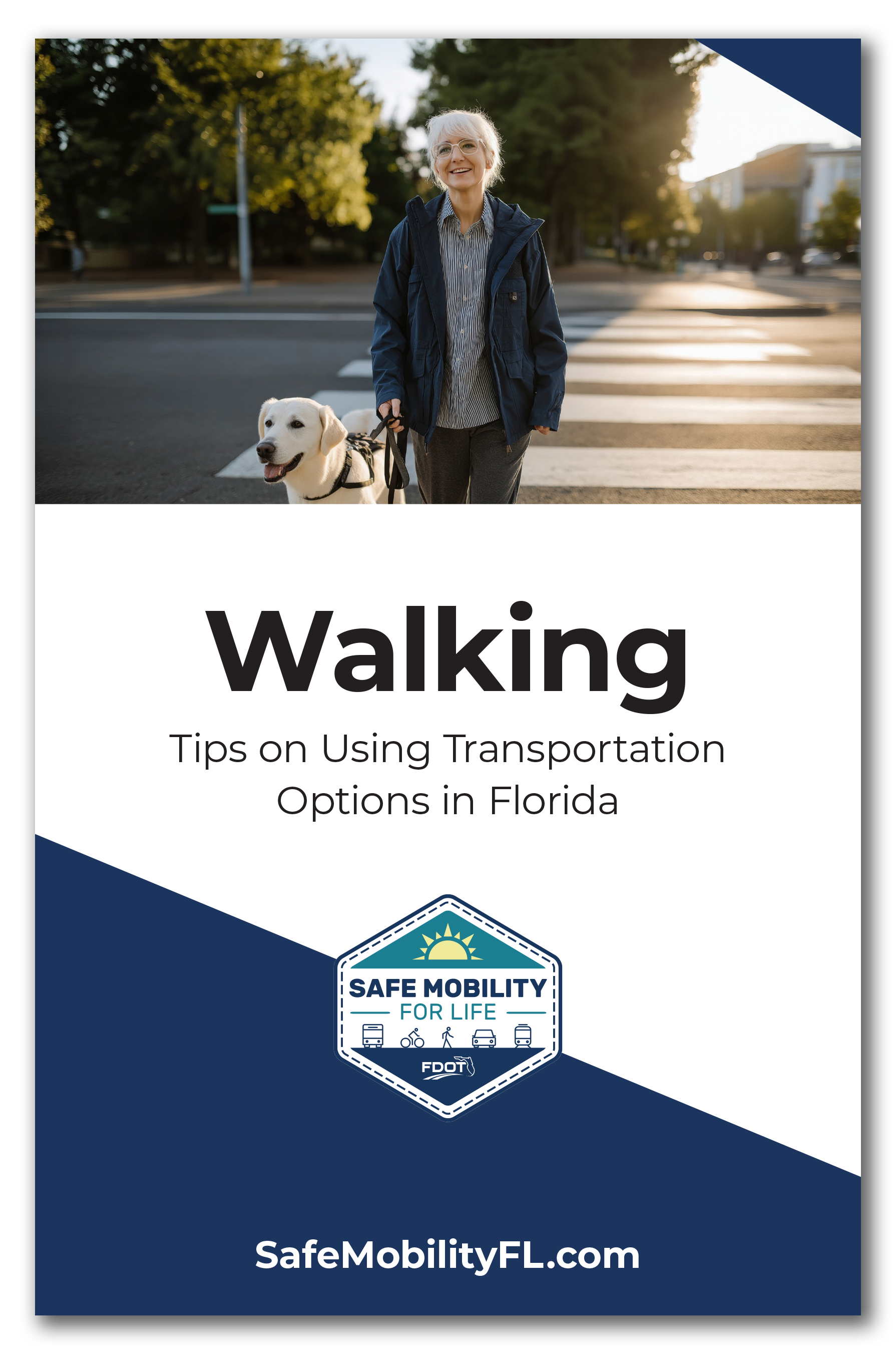 This booklet shares tips, information, and key traffic laws to help you safely walk around your community with confidence.
